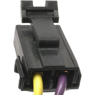 BLUE STREAK (HYGRADE MOTOR) - S667 - Side Marker Lamp Connector pa6