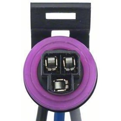 Connecteur de BLUE STREAK (HYGRADE MOTOR) - S619K pa12