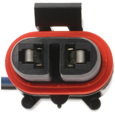 BWD AUTOMOTIVE - PT343 - Fog Light Connecteur pa1