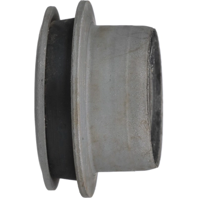Control Arm Bushing Or Kit by DELPHI - TD4421W pa3