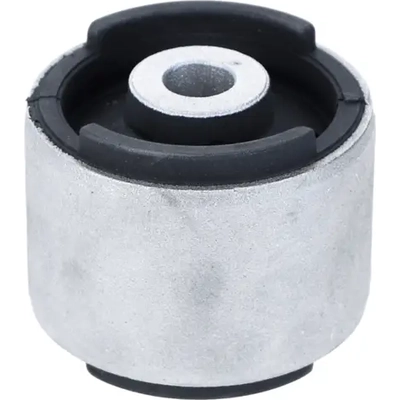 Control Arm Bushing Or Kit by LEMFOERDER - 27191-01 pa3