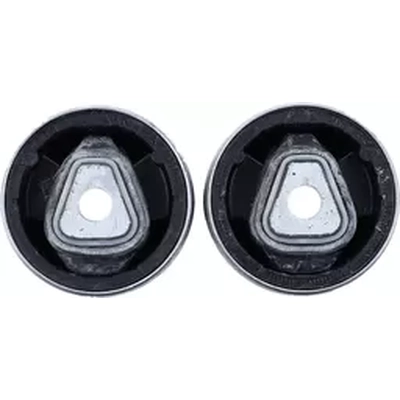 Control Arm Bushing Or Kit by LEMFOERDER - 30346-01 pa2