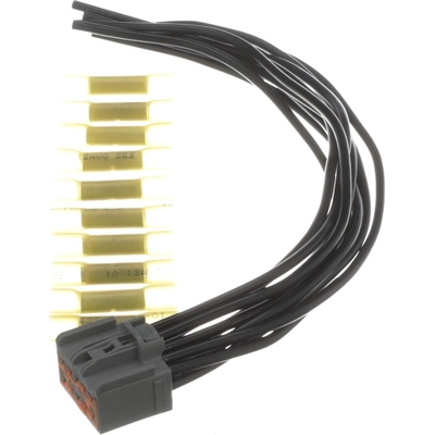 Control Module Connector by BLUE STREAK (HYGRADE MOTOR) - S2042 pa38