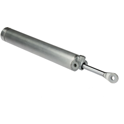 AUTOTECNICA  - FD0816968 - Convertible Top Cylinder pa4