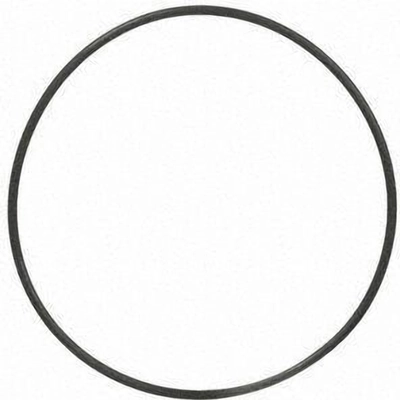 Coolant Seal Or O-Ring by FEL-PRO - 35669 pa1