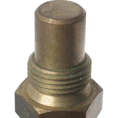 Coolant Temperature Sending Switch For Light by BLUE STREAK (HYGRADE MOTOR) - TS521 pa1