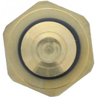 Coolant Temperature Sensor by MOTORAD - 1TS1019 pa9