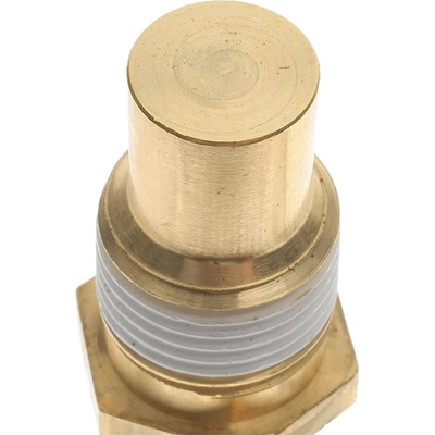 Coolant Temperature Switch by BLUE STREAK (HYGRADE MOTOR) - TS43 pa6