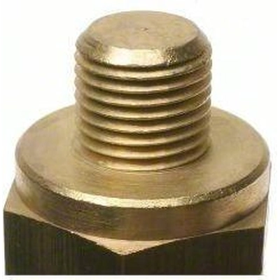 Coolant Temperature Switch by BLUE STREAK (HYGRADE MOTOR) - TS427 pa6