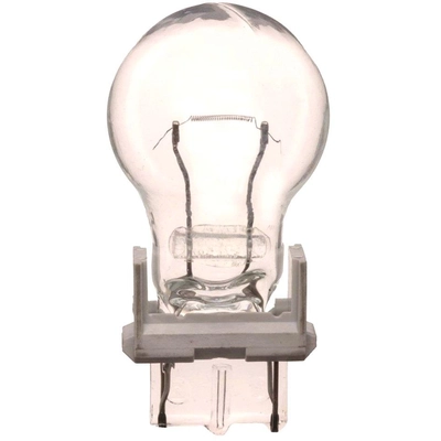 ACDELCO - L3156 - Multi-Purpose Light Bulb pa1