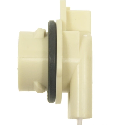 Cornering Light Socket by BLUE STREAK (HYGRADE MOTOR) - S1721 pa4