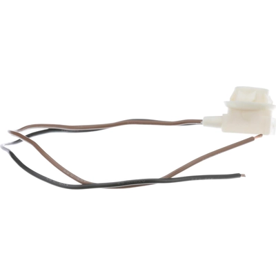 Cornering Light Socket by BLUE STREAK (HYGRADE MOTOR) - S95 pa51