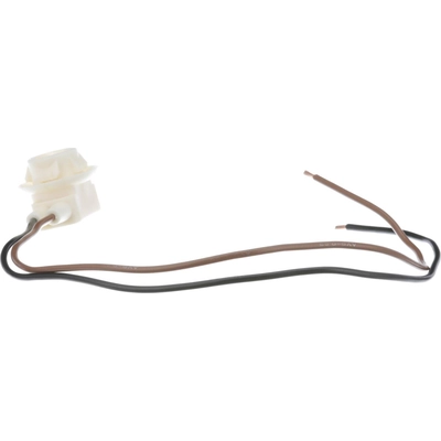 Cornering Light Socket by BLUE STREAK (HYGRADE MOTOR) - S95 pa54