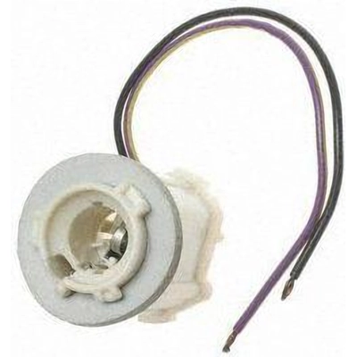 Cornering Light Socket by BLUE STREAK (HYGRADE MOTOR) - S572 pa24