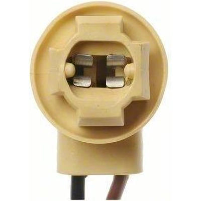Cornering Light Socket by BLUE STREAK (HYGRADE MOTOR) - S95 pa48