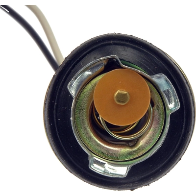 Cornering Light Socket by DORMAN/CONDUCT-TITE - 85862 pa8