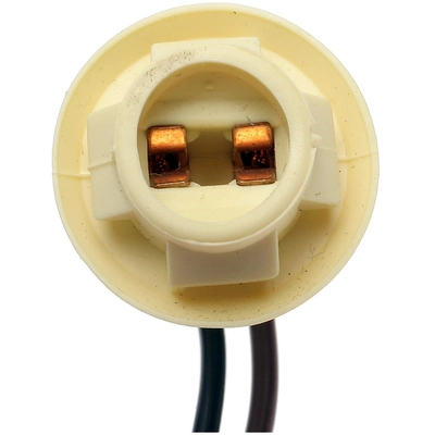 STANDARD - PRO SERIES - S74 - Back Up Light Socket pa2