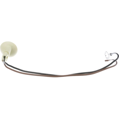 Courtesy Lamp Connector by BLUE STREAK (HYGRADE MOTOR) - S74 pa41