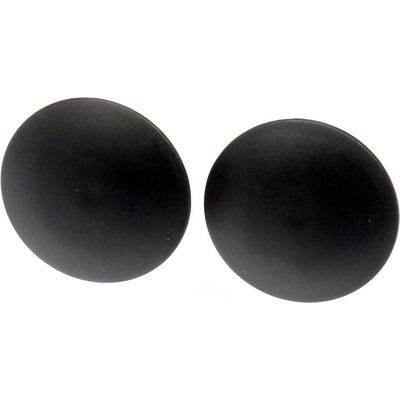 Cowl Panel Hardware by DORMAN - 963-132D pa2