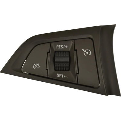 Cruise Control Switch by BLUE STREAK (HYGRADE MOTOR) - CCA1369 pa12