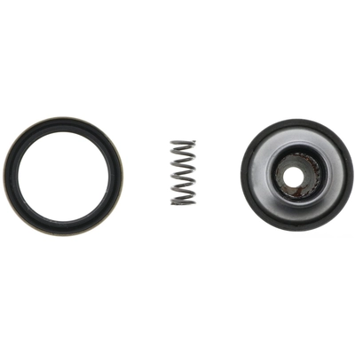 DANA SPICER - 10018440 - Double Cardan CV Ball Seat Repair Kit pa2