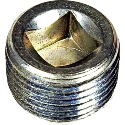 Cylinder Head End Plug by DORMAN - 090-019 pa1