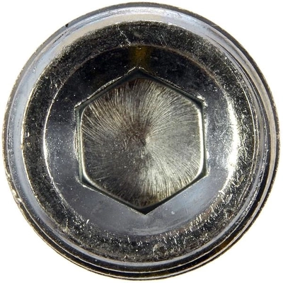 Bouchon d'extrémité de la culasse de cylindre de DORMAN/AUTOGRADE - 02473 pa4