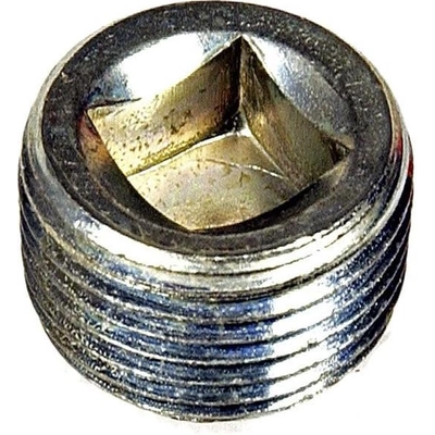 Cylinder Head End Plug by DORMAN/AUTOGRADE - 090-019 pa1