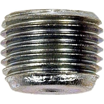 Cylinder Head End Plug by DORMAN/AUTOGRADE - 090-046 pa2