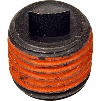 Cylinder Head End Plug by DORMAN (OE SOLUTIONS) - 090067 pa1