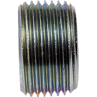 Cylinder Head End Plug by DORMAN (OE SOLUTIONS) - 090072 pa1