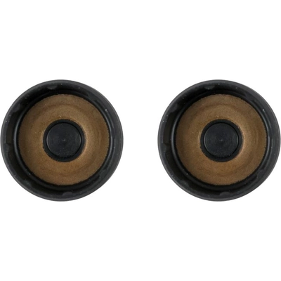 Cylinder Head End Plug Set by FEL-PRO - TCS46263 pa1