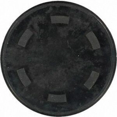 Cylinder Head End Plug by VICTOR REINZ - 71-31756-00 pa1