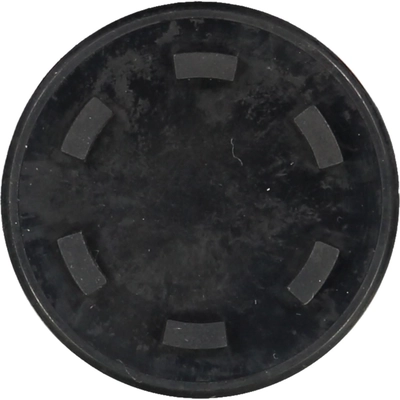 Cylinder Head End Plug by VICTOR REINZ - 71-31756-00 pa2