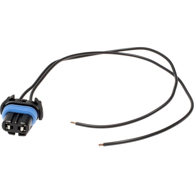 BLUE STREAK (HYGRADE MOTOR) - S524 - Daytime Running Lamp Socket pa4