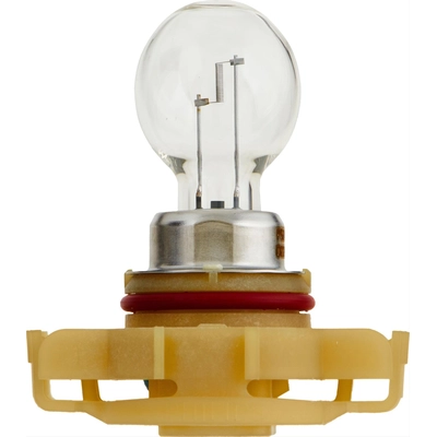 PHILIPS - PS24WFFB1 - Fog / Driving Light Bulb pa1