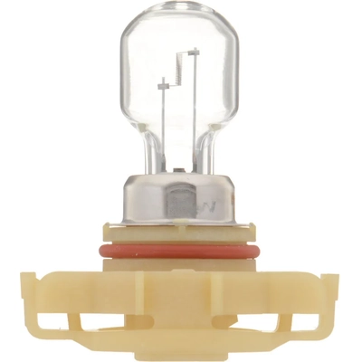 PHILIPS - PS24WFFC1 - Fog / Driving Light Bulb pa2