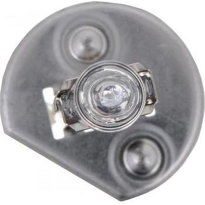 Daytime Running Light by PHILIPS - H1C1-24V pa10