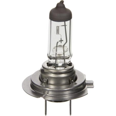 Daytime Running Light by WAGNER - 1255/H7LL pa1