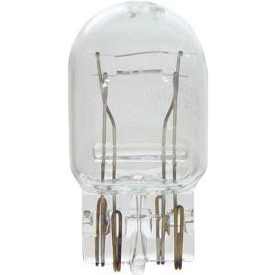 Daytime Running Light by WAGNER - BP7443 pa27
