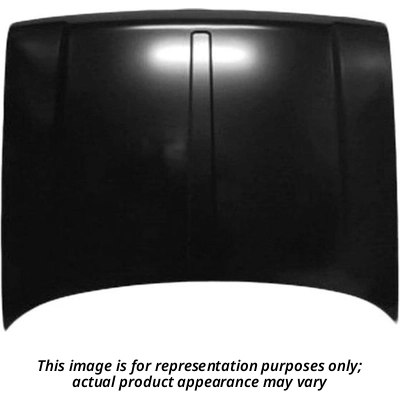 Hood Panel - GMK403220069 4