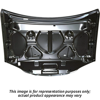 Hood Panel Assembly - SU1230143 1