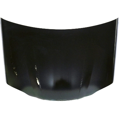 Hood Panel Assembly - TO1230249 2