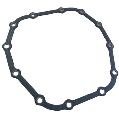 DANA SPICER - 10058069 - Differential Cover Gasket pa1