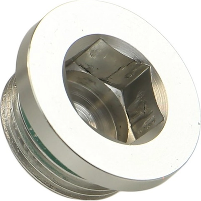 Differential Drain Plug by CRP/REIN - HWU0065 pa1