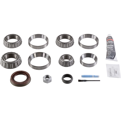 DANA SPICER - 10038937 - Differential Rebuild Kit pa2