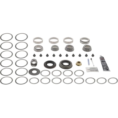 DANA SPICER - 10043620 - Differential Bearing Kit pa1