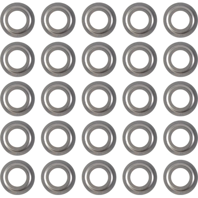 DANA SPICER - 32349 - Differential Pinion Bearing Baffle pa1