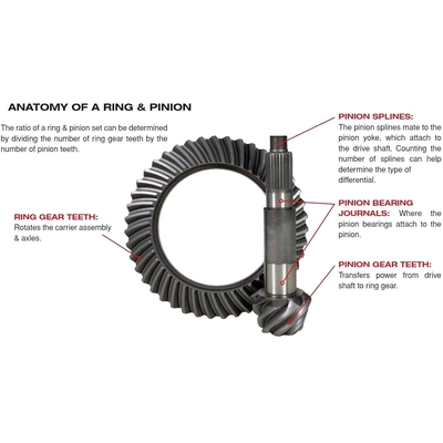 Differential Ring and Pinion by YUKON GEAR & AXLE - YGTLCF488R29 pa2