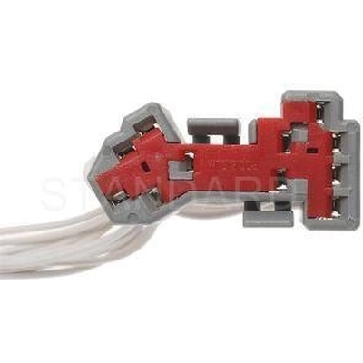 Connecteur réostat de BLUE STREAK (HYGRADE MOTOR) - S664 pa5